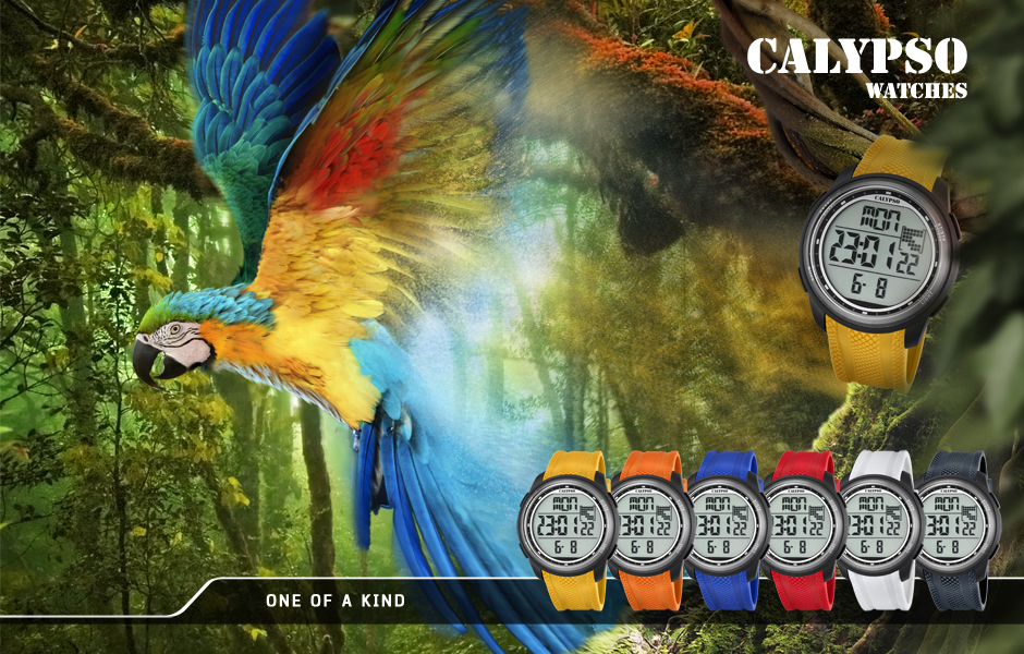 Calypso watches One of a Kind bird